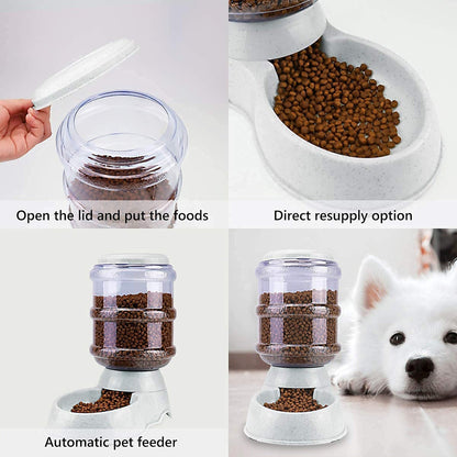 Self-dispensing pet feeder bowl for daily automatic dry food feeding at home