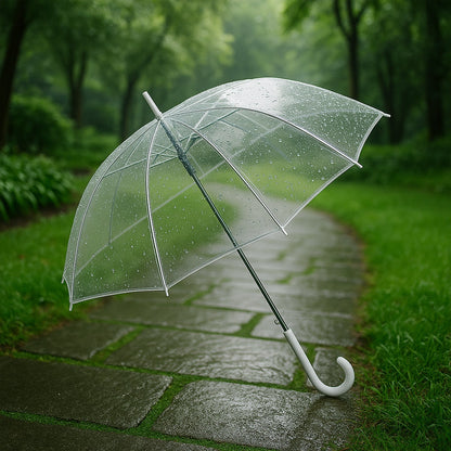 Dome Umbrella